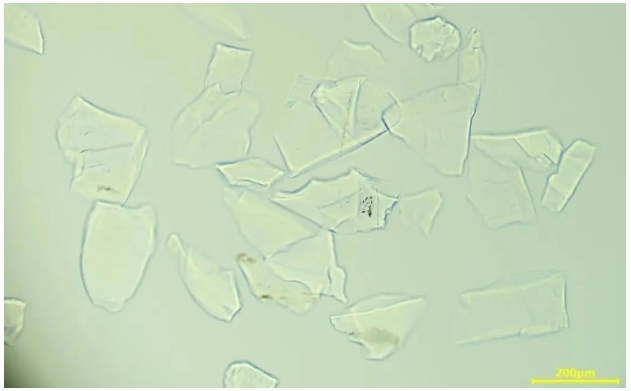 企業微信截圖_20250603175809 企業微信截圖_20250603175809