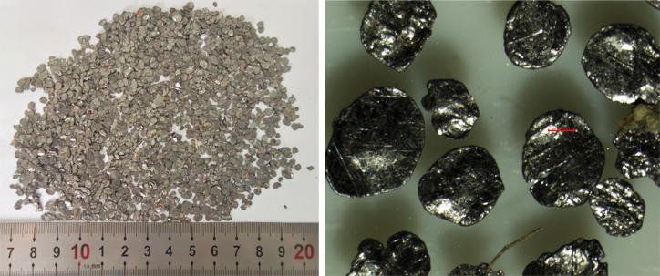 微信圖片_2025-09-15_134030_287